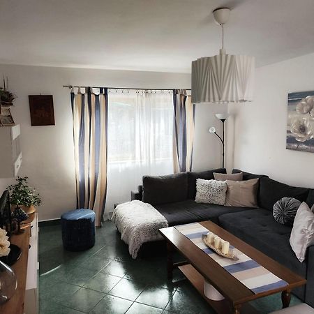 Apartment Mira Vrsar Eksteriør billede