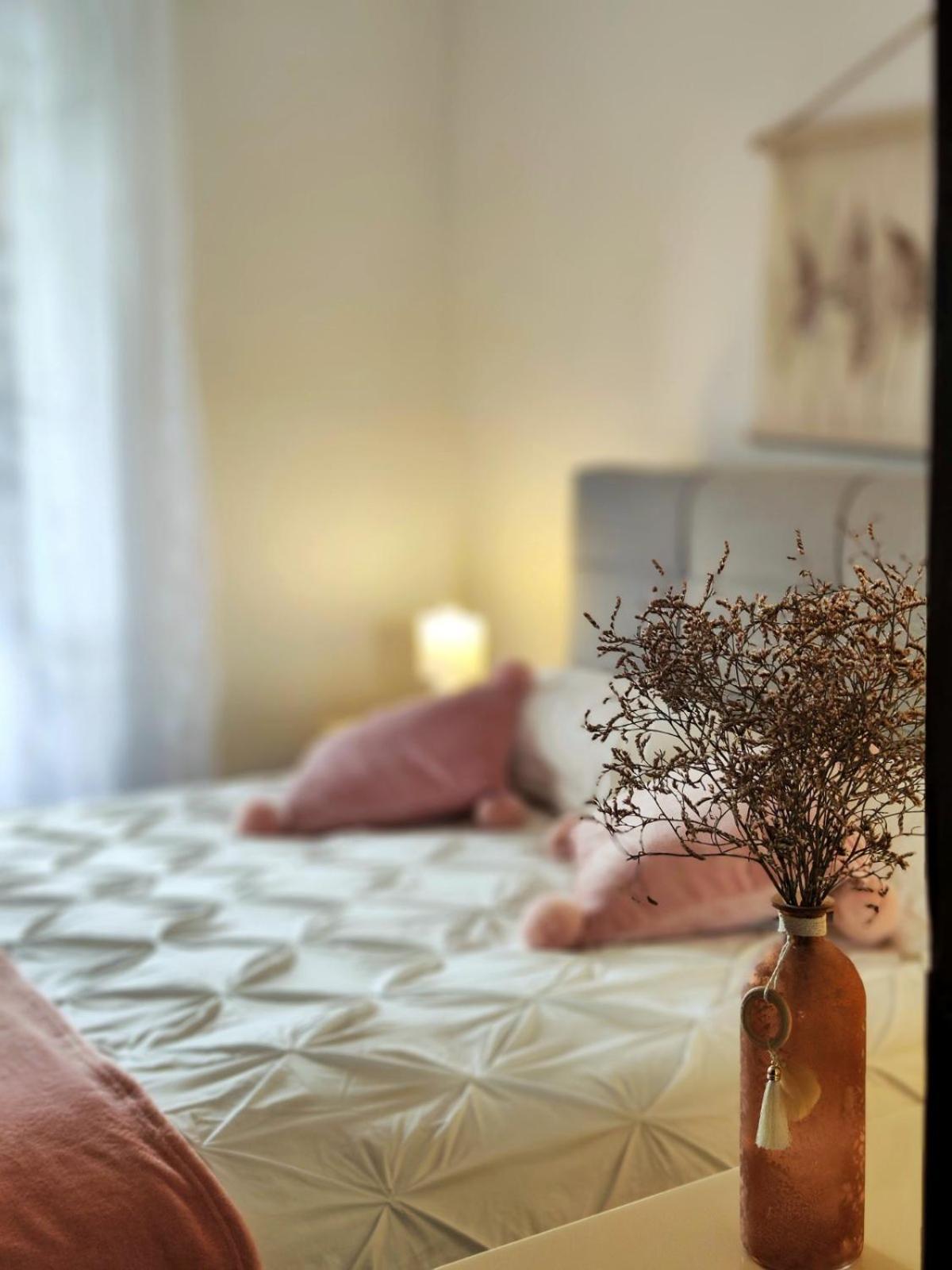 Apartment Mira Vrsar Eksteriør billede